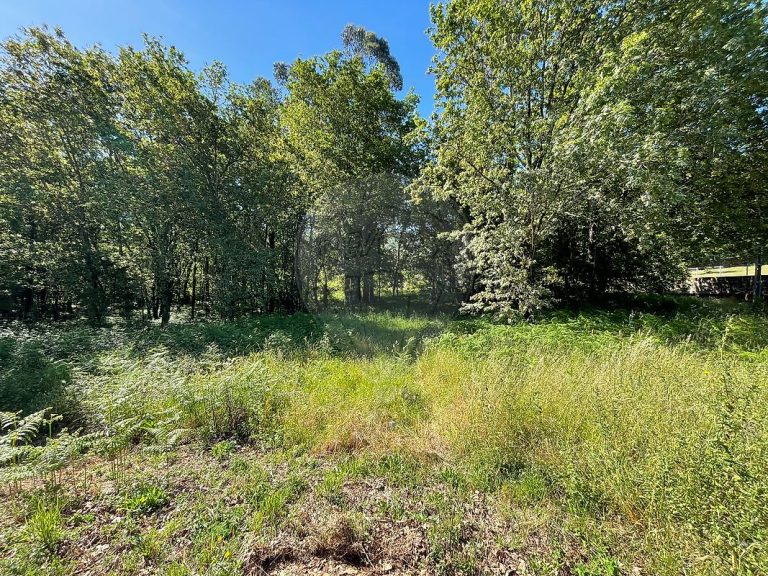 Terreno à Venda em Bravães