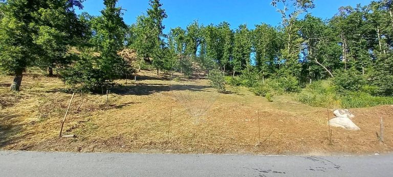 Terreno à Venda em Paço